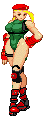 Anti-Robot Special Forces Cammy!