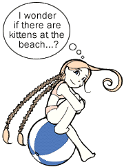 apm-beach.gif (7981 bytes)
